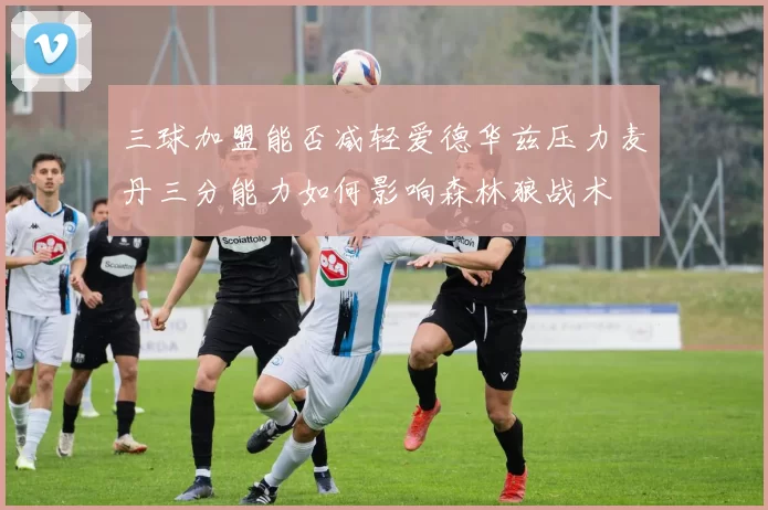 三球加盟能否减轻爱德华兹压力麦丹三分能力如何影响森林狼战术
